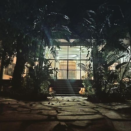 Canto De La Selva Jungle Lodge Selva Lacandona Chiapas Galaxia ภายนอก รูปภาพ