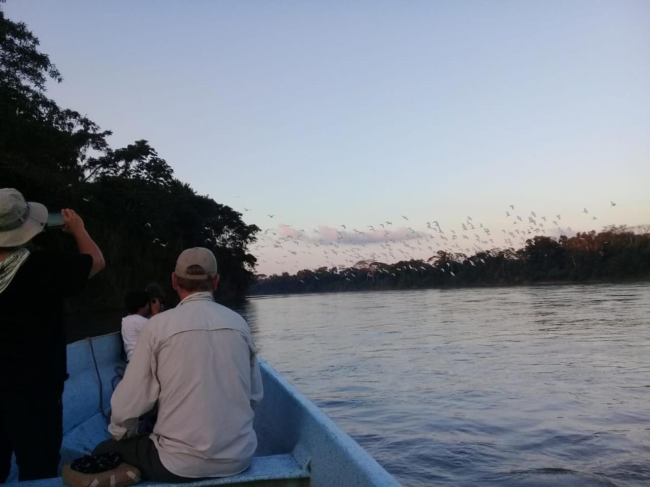 Canto De La Selva Jungle Lodge Selva Lacandona Chiapas Galaxia ภายนอก รูปภาพ